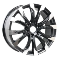 R022 (LC300)