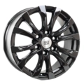 R118 (LC300)