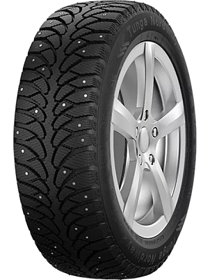 Шина Tunga NORDWAY 2 205/65 R15 Q94